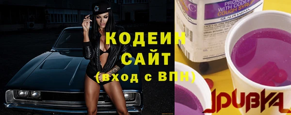 гашик Медногорск