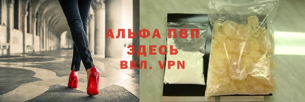ешки Алексин