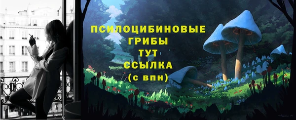 ешки Алексин