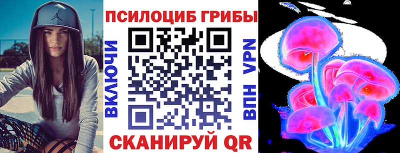 цена   darknet состав  Галлюциногенные грибы прущие грибы  Багратионовск 